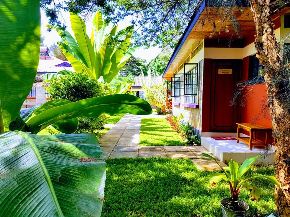 The Farmhouse Inn Nanyuki Buitenkant foto